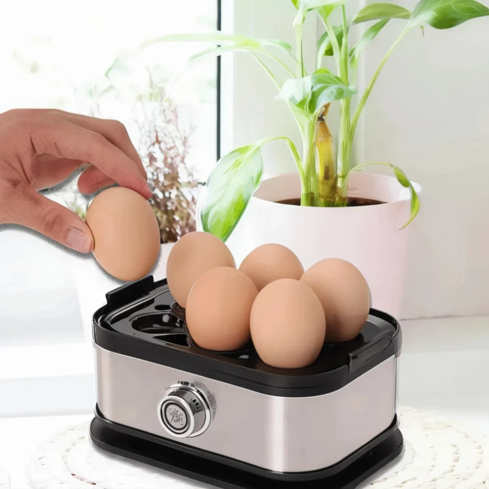 Compact Stainless Steel Egg Cooker